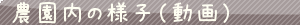 初めて収穫する方へ